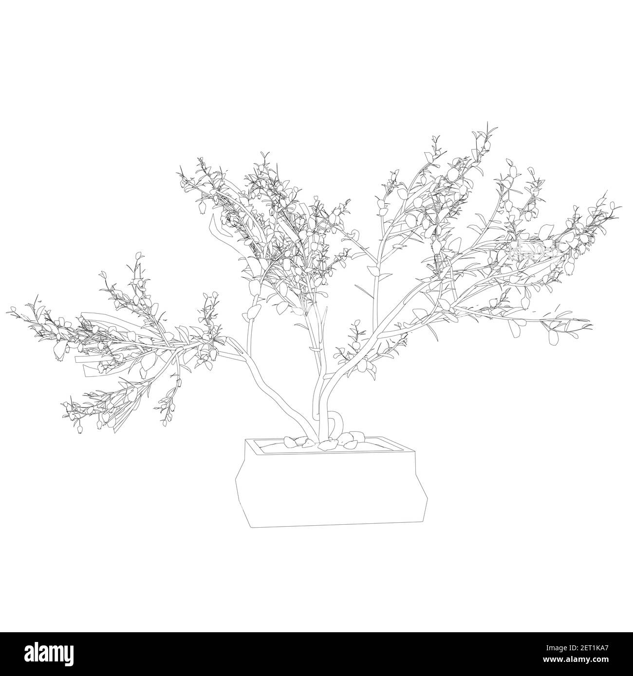 Kontur eines dekorativen Baumes in einem Topf aus schwarzen Linien isoliert auf weißem Hintergrund. Vektorgrafik. Stock Vektor