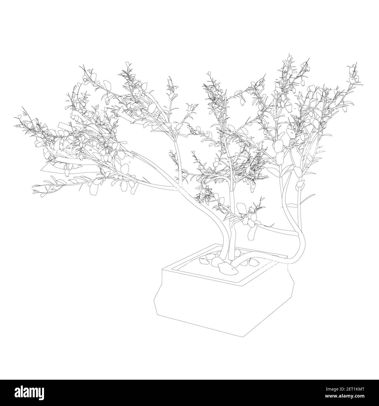 Kontur eines dekorativen Baumes in einem Topf aus schwarzen Linien isoliert auf weißem Hintergrund. Vektorgrafik. Stock Vektor