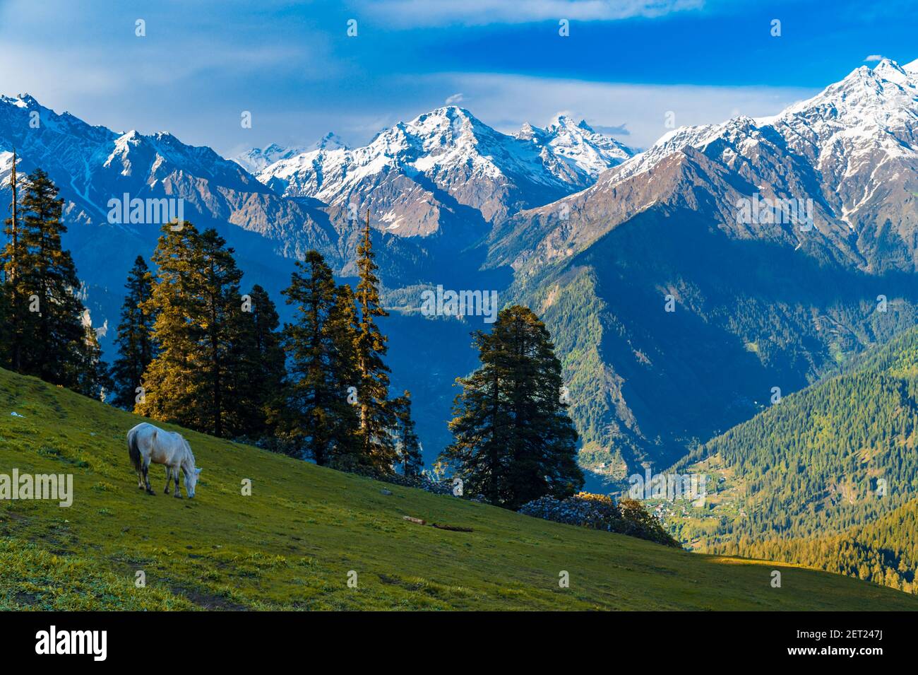 Berglandschaft mit grünem Gras, Wiesen. Himalaya Gipfel & alpine Landschaft von den Spuren des Sar Pass Trek Himalaya Region von Kasol, Himachal P Stockfoto