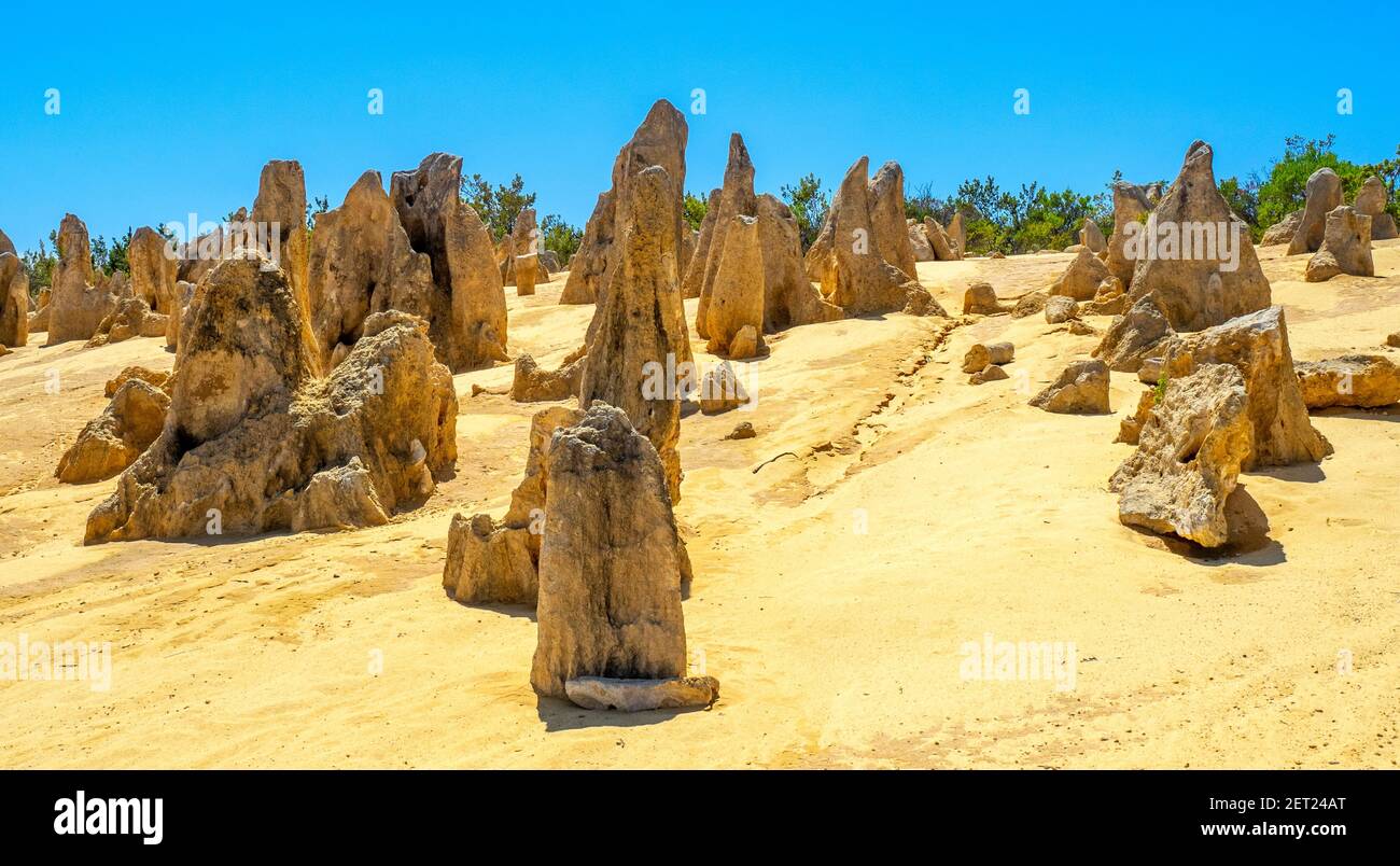 Pinnacles Desert verwitterte Kalksteinsäulen beliebte Touristenattraktion im Nambung National Park 200 km nördlich von Perth Western Australia. Stockfoto