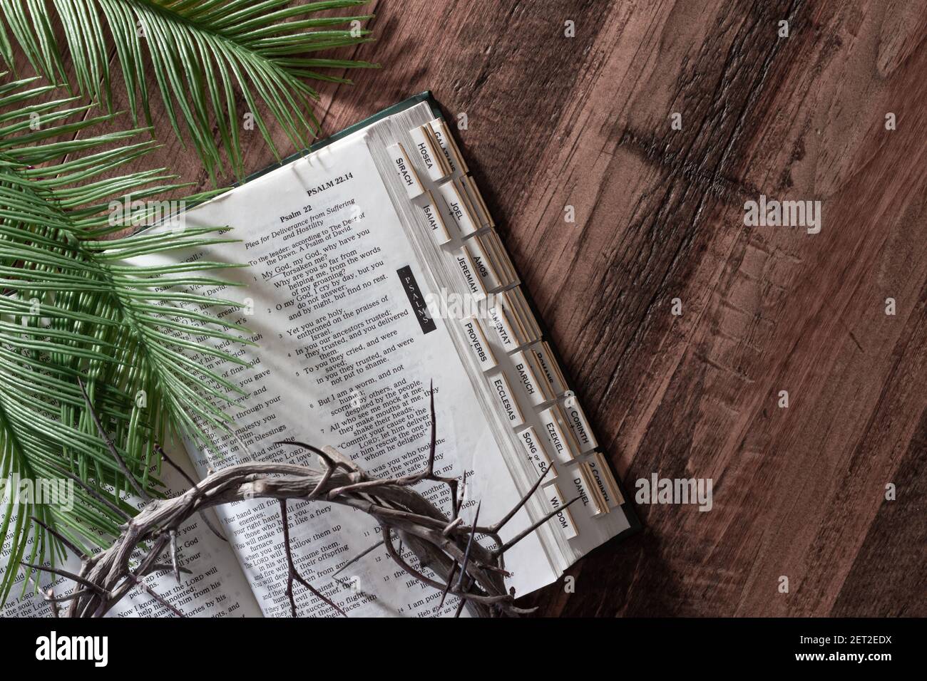 Dornenkrone und offene bibel mit Palmblättern Dunkler Holzhintergrund mit Kopierraum Stockfoto