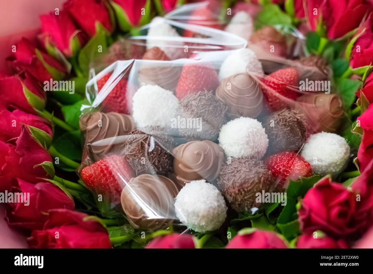 Geschenkbouquet mit roten Rosen und frischen Erdbeeren in dunkler Schokolade und Kokosflocken. Stockfoto