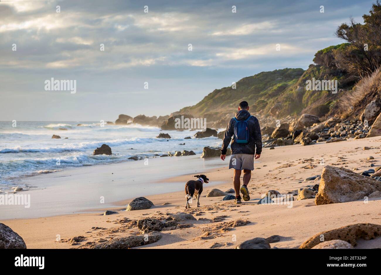 Rückansicht eines Mannes, der mit seinem Hund am Strand von Bolonia entlang läuft, Tarifa, Cadiz, Andalusien, Spanien Stockfoto
