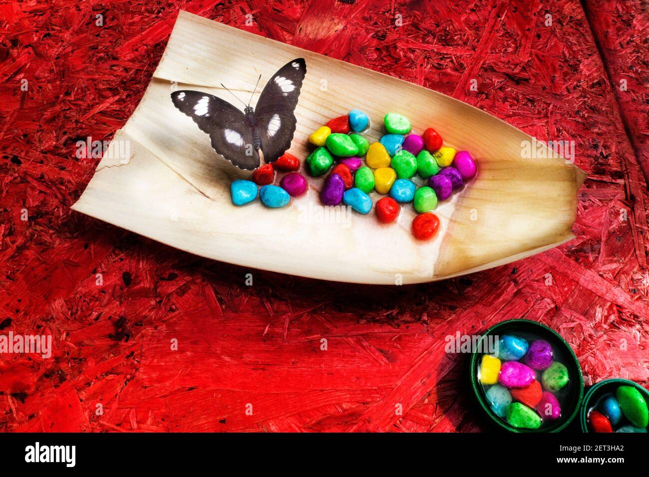 Nahaufnahme eines Schmetterlings auf bunten Süßigkeiten Stockfoto