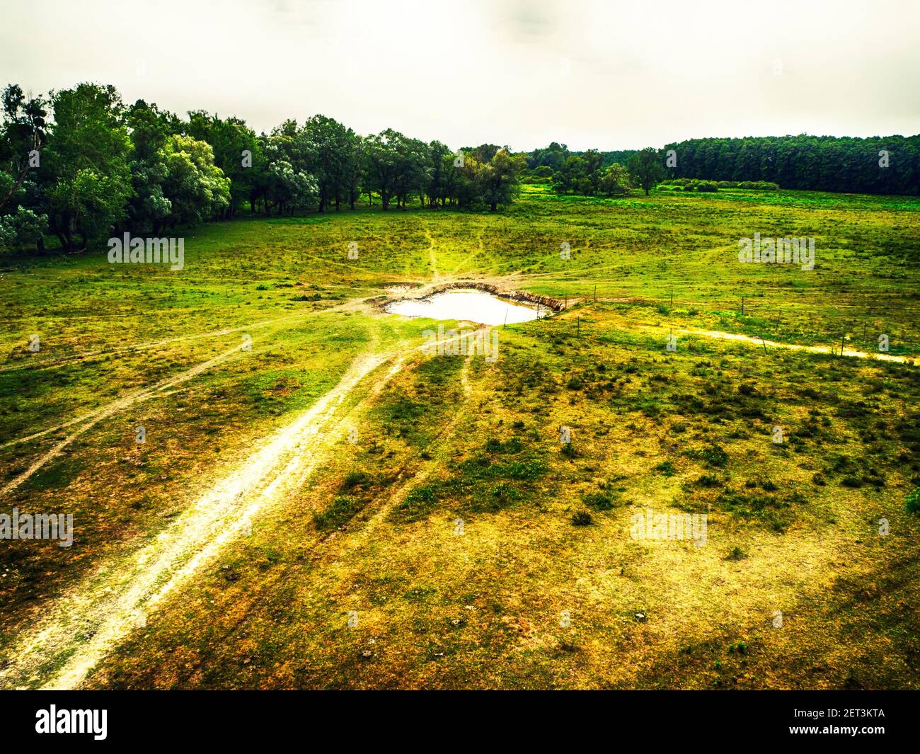 Luftaufnahme eines kleinen Teiches in einem Feld, Ungarn Stockfoto