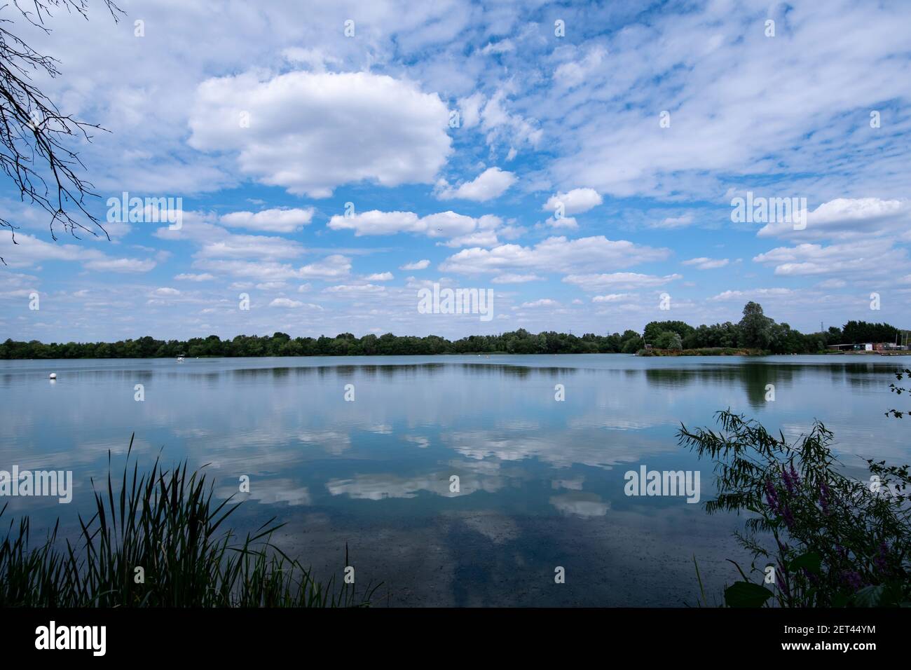Ein Blick auf den Wraysbury Lake in der Nähe von Heathrow, Teil eines großen Naturschutzgebietes und Standort von besonderem wissenschaftlichen Interesse. Stockfoto