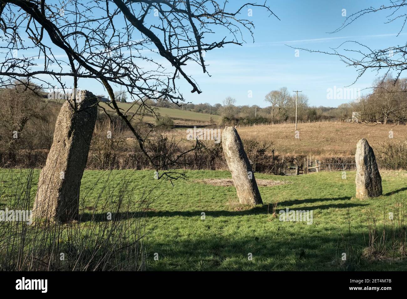 Harold's Stones, eine Anordnung von 3 stehenden Steinen aus der frühen Bronzezeit in Trellech, Monmouthshire, Wales, Großbritannien. Legende verbindet sie mit König Harold Stockfoto