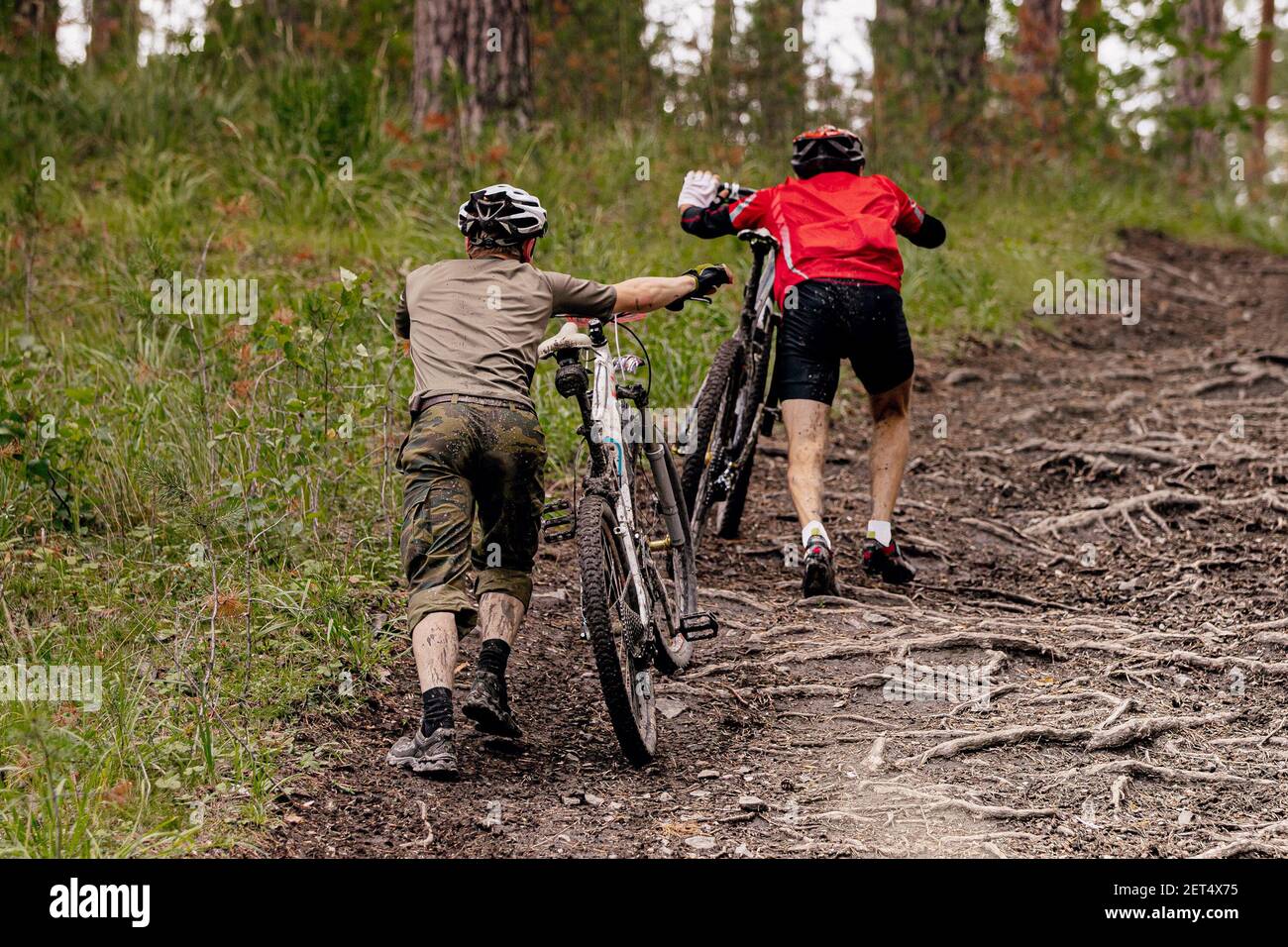 Zurück zwei männliche Mountainbiker gehen bergauf auf auf Waldweg Stockfoto