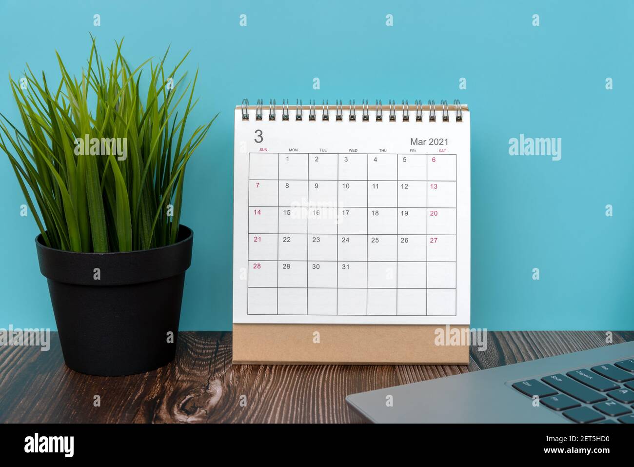 März Schreibtisch Kalender 2021 mit Green Topfpflanze und Laptop Stockfoto