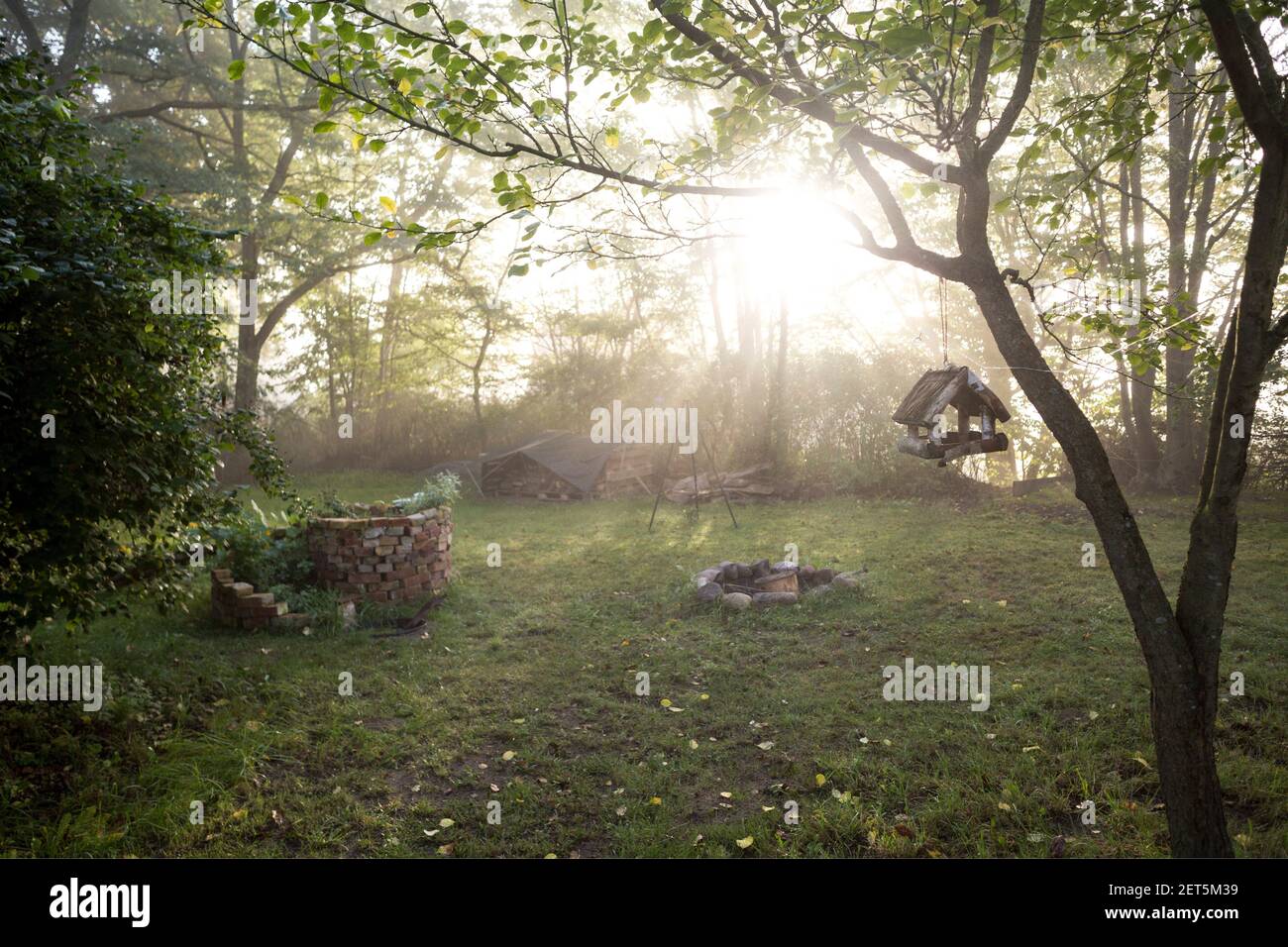Garten im Herbst nur RECHTE für Großbritannien und IRLAND, ANDERE RECHTE KONTAKTIEREN Sie EWASTOCK.COM Stockfoto