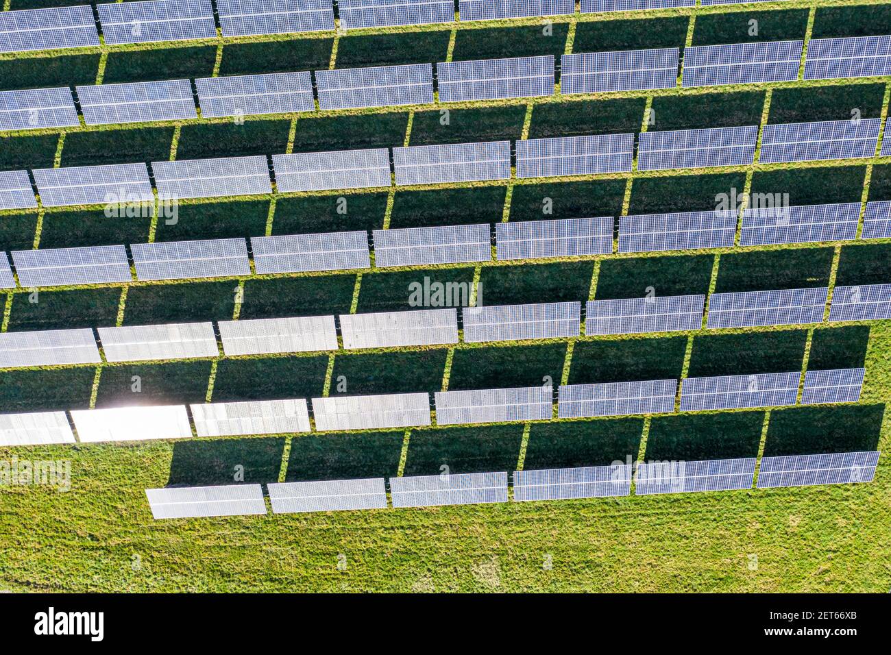 Luftaufnahme des Solarparks mit großen Solarzellen in einem Array, West Sussex, England Stockfoto