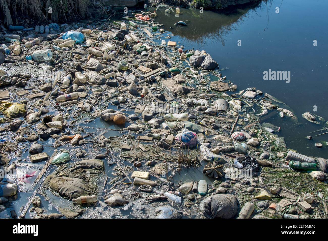 Zrenjanin, Serbien, 01. März 2021. Bild von menschlicher Fahrlässigkeit und ökologischer Katastrophe am Kanal mit Wasser und Umgebung. Jedes Leben in Stockfoto
