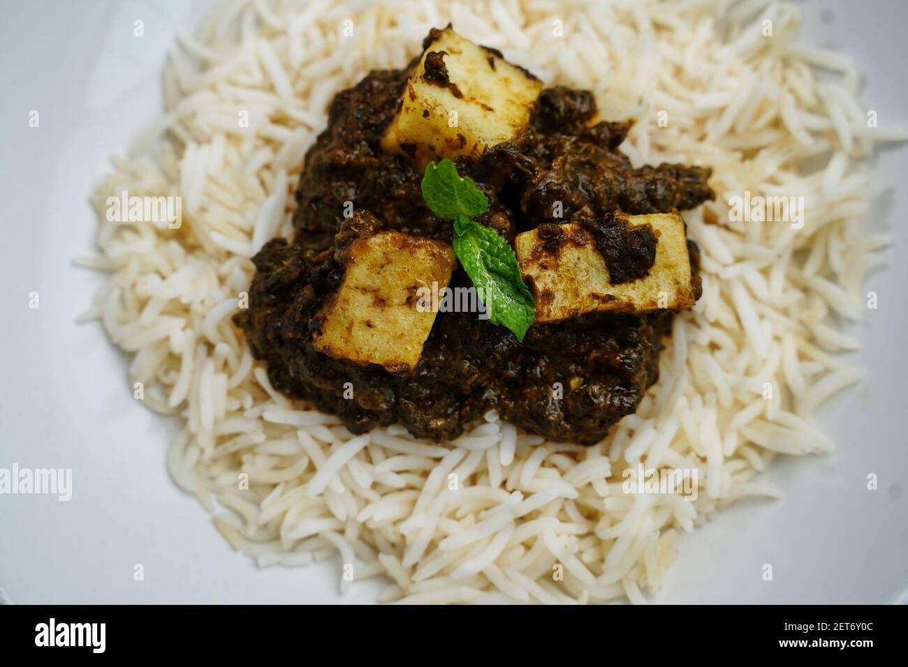Palak Paneer oder Saag Paneer mit gedämpftem Basmati-Reis Weißer Hintergrund Stockfoto