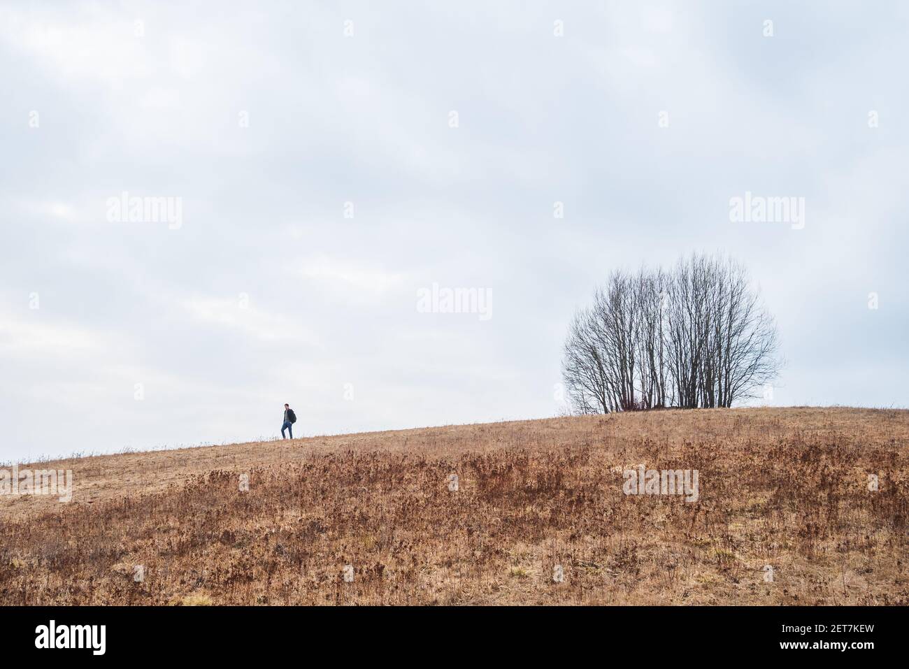Ein einsamer Mann steht auf einem Berg, einem einsamen Baum. Stockfoto