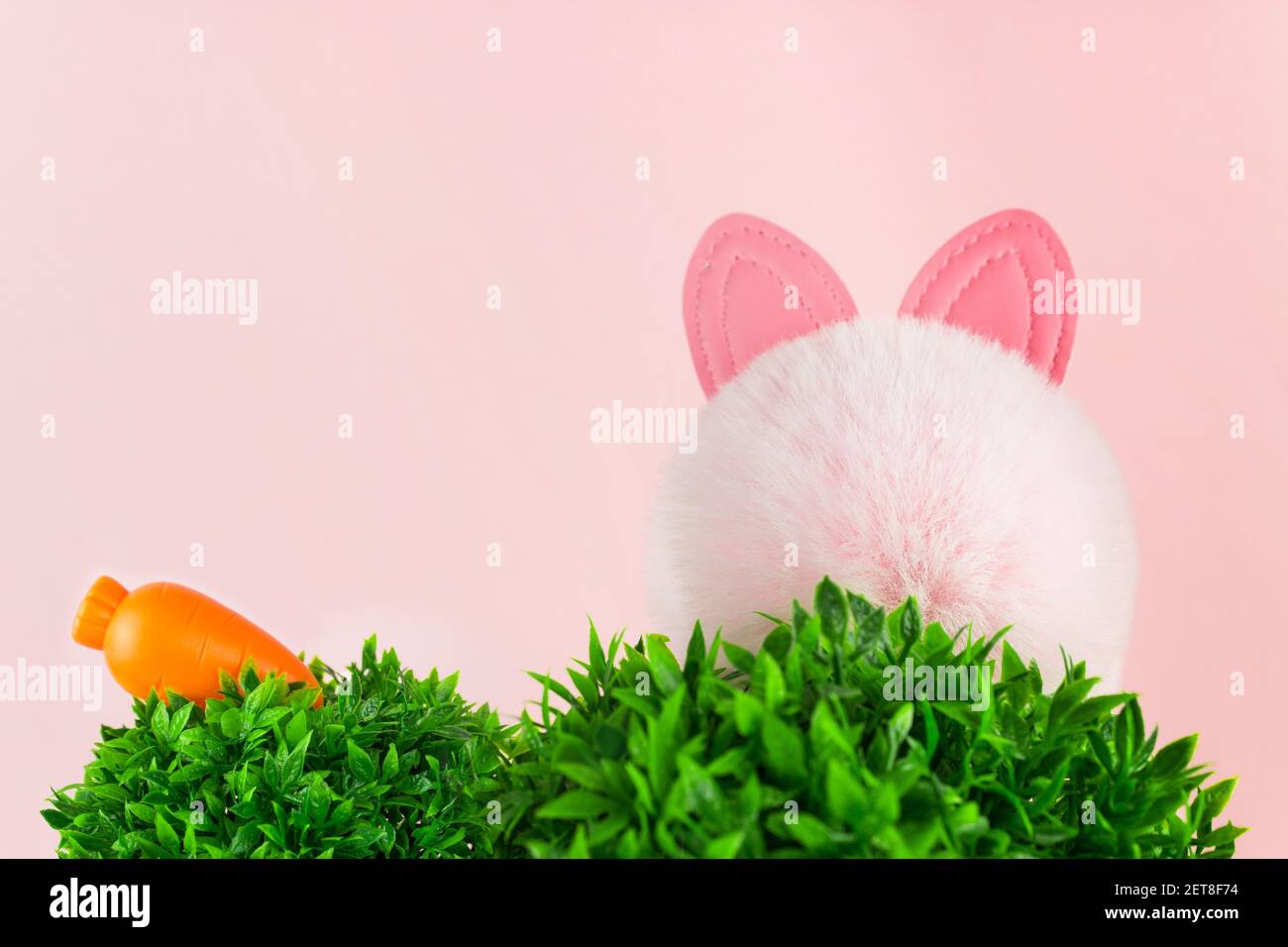Osterhintergrund mit Karotte, Hasen Ohren versteckt in einer grasigen Landschaft auf rosa Hintergrund Stockfoto