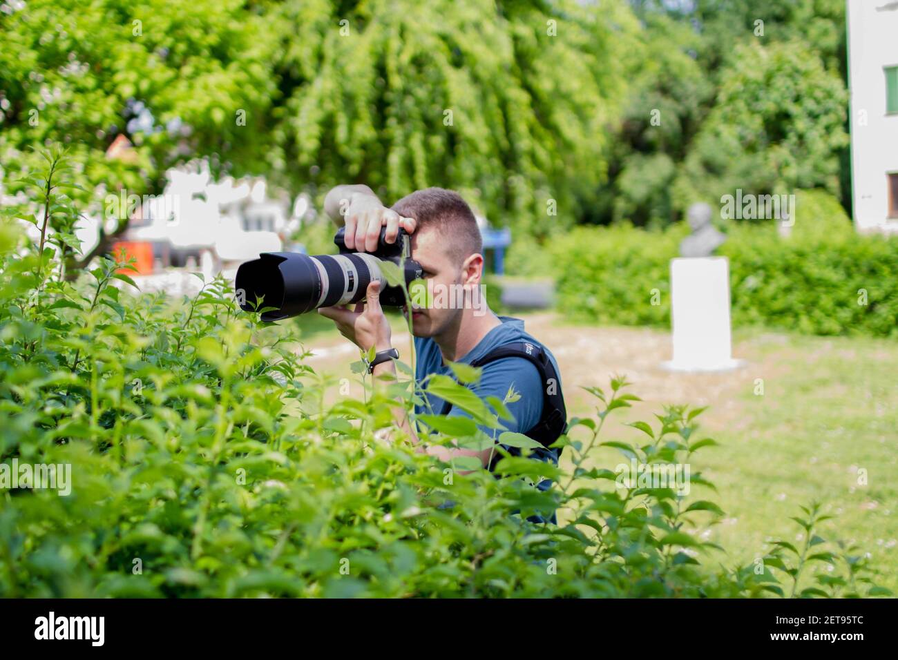 BRCKO, BOSNIEN UND HERZEGOWINA - 05. Jun 2017: Mann mit großer Canon Kamera und Objektiv hinter Busch Stockfoto