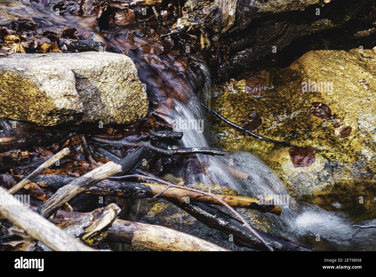Der Naturpark Montseny, ist voll von Bächen, Tieren, Naturgeräuschen, Ruhe, reine Luft, Zum Abschluss der körperlichen und geistigen Gesundheit Stockfoto