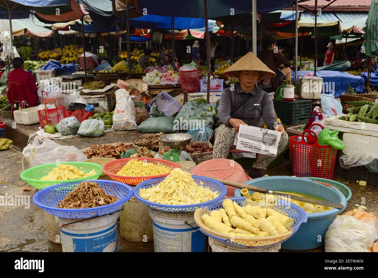 Dong Ha, Vietnam - September, 2015: Frau Zeitung in vietnamesischen Hut lesen und verkaufen Bambus-Triebe und andere asiatische Lebensmittel auf einem traditionellen Markt Stockfoto