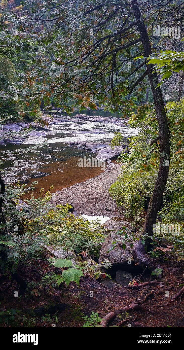 Provinz Quebec, Kanada, September 2019, Blick auf einen Fluss im La Mauricie Nationalpark Stockfoto