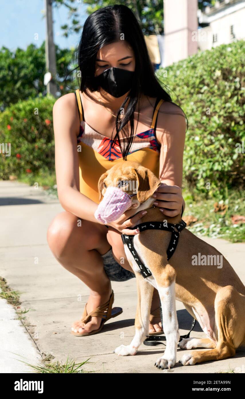 Latin Mädchen und ihr Haustier Hund auf der Straße In einer kleinen Stadt in Kuba tragen beide handgemachte Masken Stockfoto