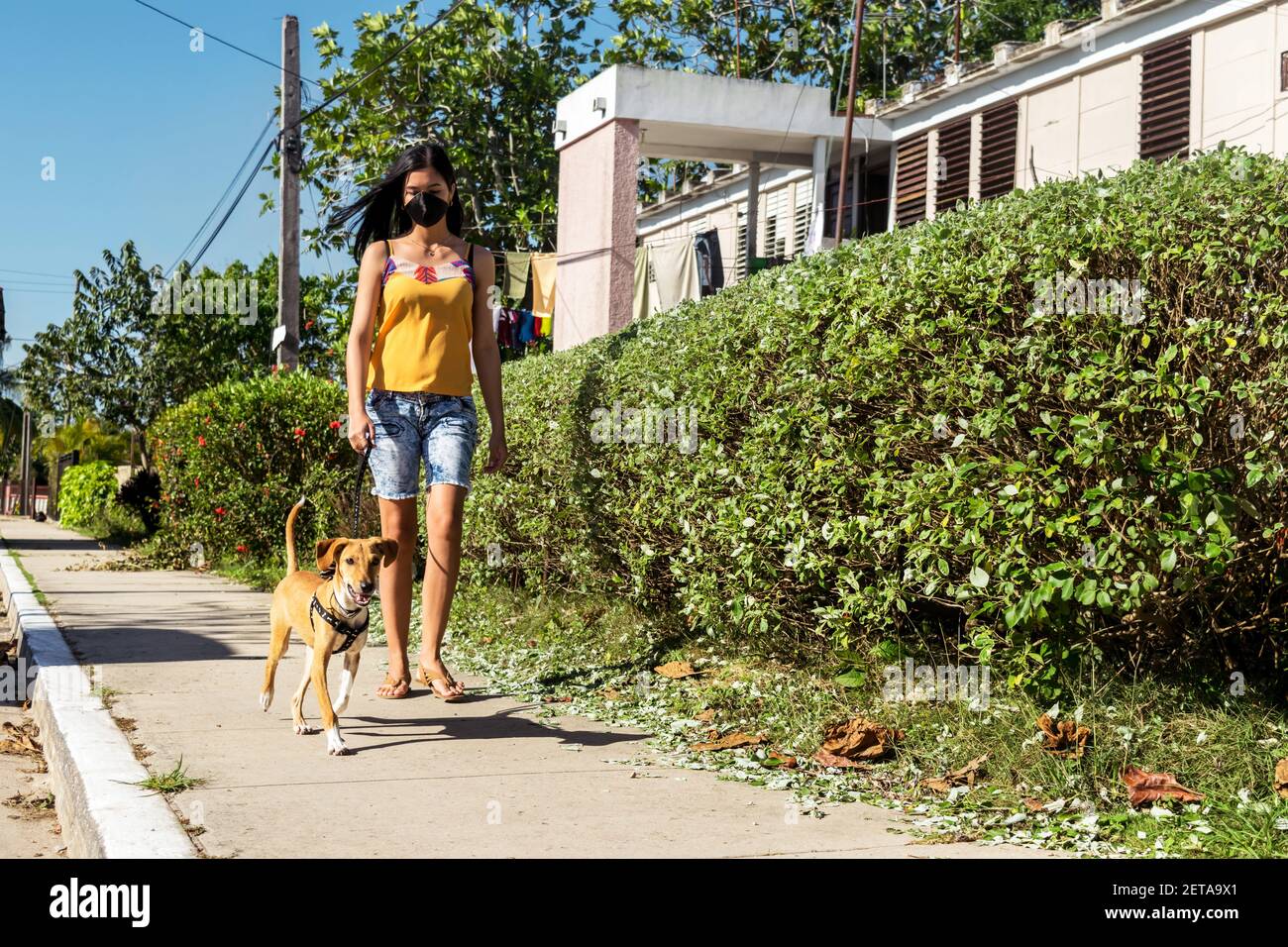 Lateinische junge Frau, die ihre halbgezüchtete Hündin auf der geht Bürgersteig in einer kleinen Stadt in Kuba Stockfoto
