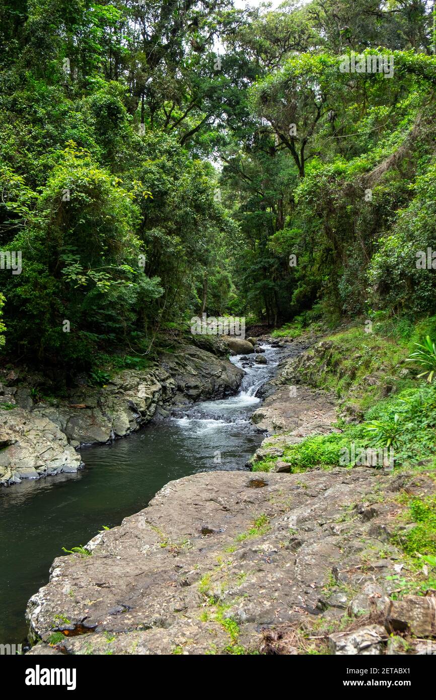 Blue Pools, West Canungra Creek Circuit, QLD Australien Stockfoto