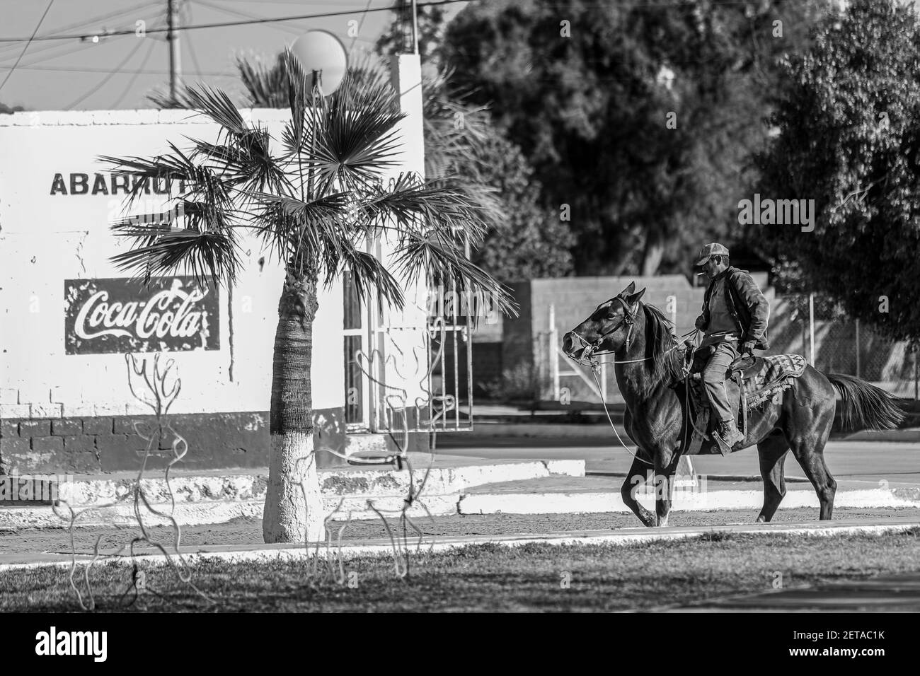 Trincheras, Mexiko. Gemeinde oder Stadt Trincheras, nördlich des Staates Sonora. Es grenzt an die Gemeinde Altar, Pitiquito und Tubutama. Sonoran Desert, Mexiko. (Foto von Luis Gutierrez / Norte Photo) Trincheras, Mexiko. Comunidad o pueblode Trincheras, localizado al norte del estado de Sonora. Colinda con el municipio de Altar, Pitiquito y Tubutama. Desierto de Sonora, Mexiko. (Foto von Luis Gutierrez / Norte Photo) Stockfoto