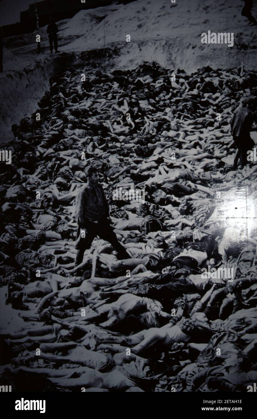 Dachau, Deutschland. 6/26/1990. Museum Des Konzentrationslagers Dachau. 22. März 1933 bis 29. April 1945. Erstes Lager, das vom Nazireich erbaut wurde. B&W Vintage-Bilder des KZ Dachau Museum zu sehen. Stockfoto