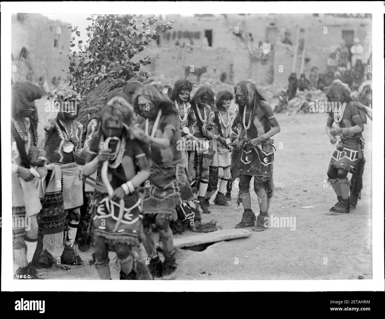 Durchführung von Hopi Snake Dance Zeremonie im Pueblo von Oraibi, Arizona, 1898 Stockfoto