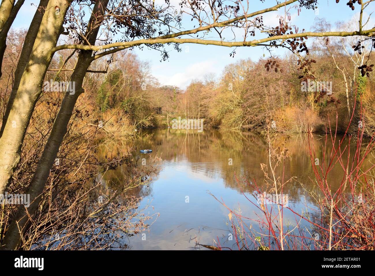 Naturschutzgebiet Teich in den nördlichen Vororten von London an einem sonnigen Tag im Winter. England, Großbritannien. Stockfoto