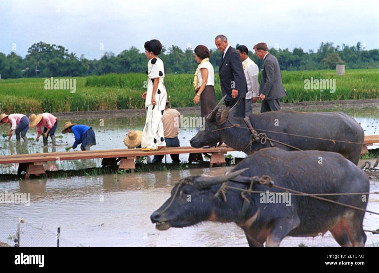 Foto von Präsident Lyndon Johnson, Lady Bird Johnson, Präsident Ferdinand Marcos, Imelda Marcos und anderen Touren durch die Los Banos Reisfelder in der Nähe von Manila, Philippinen. Stockfoto