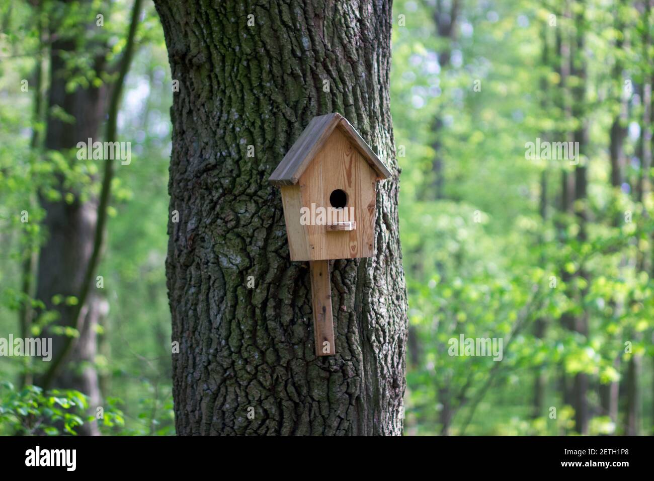 Ein Vogelfutterhäuschen in Form eines Hauses mit einem Holzdach hängt an einem Baum. Vogelpflege. Holzhaus Nahaufnahme mit Copyspace Stockfoto