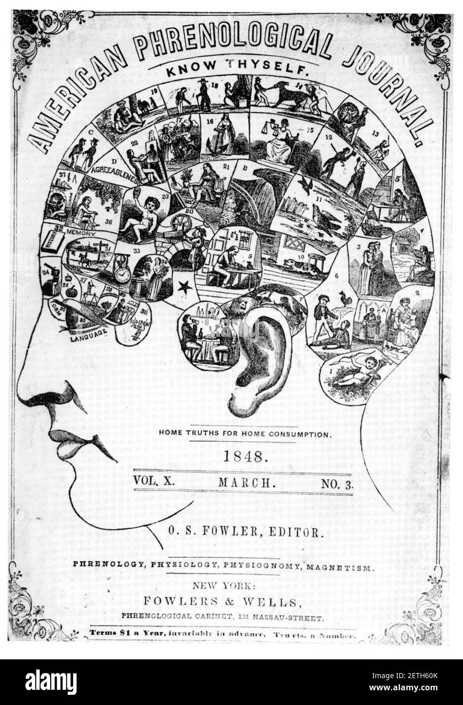 Zeitschrift für Phroenologie (1848). Stockfoto