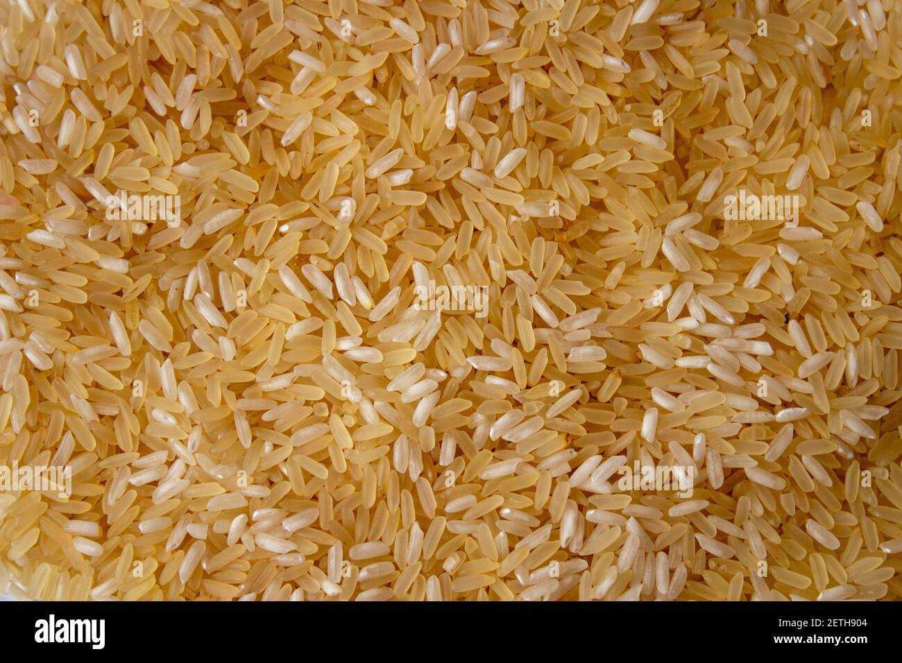 Hintergrund von verstreuten goldenen rohen Reis. Reisstruktur Stockfoto