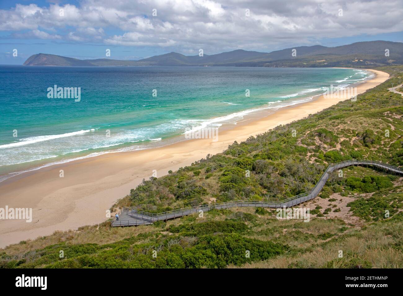 Strand und Pinguin Aussichtsplattform auf dem Hals in Bruny Insel Stockfoto