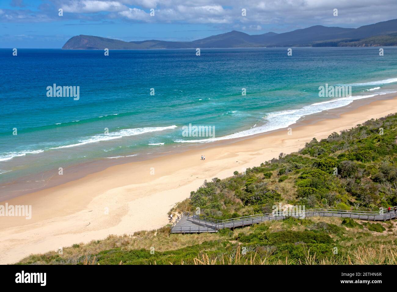 Strand und Pinguin Aussichtsplattform auf dem Hals in Bruny Insel Stockfoto