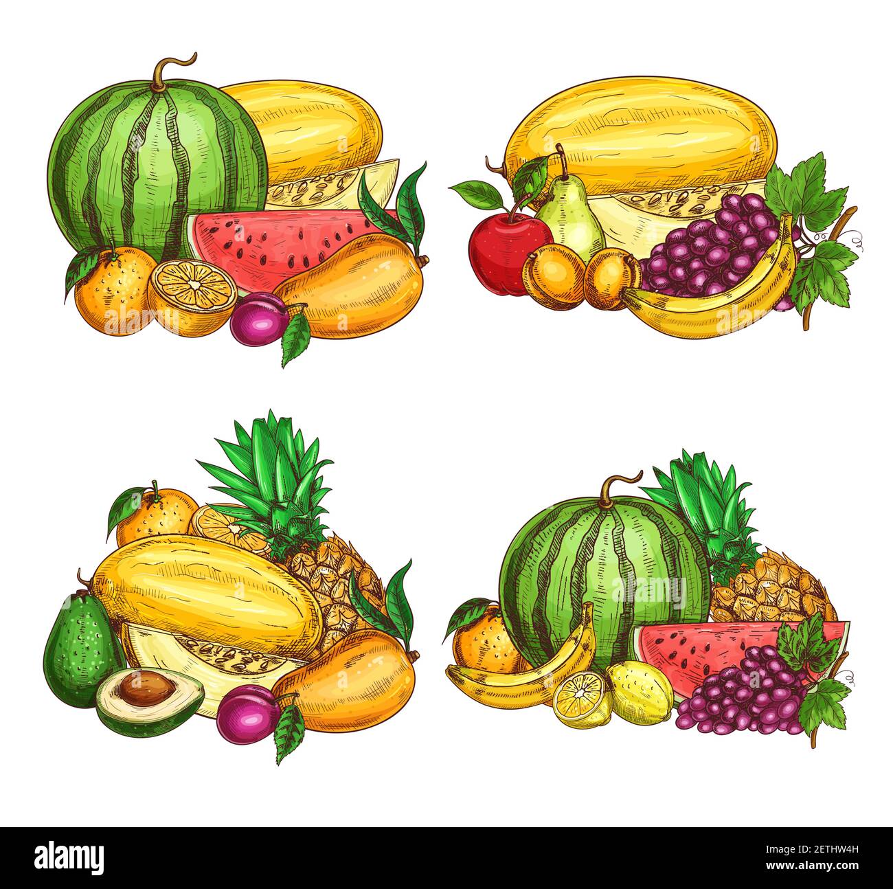 Obst Bauernhof frische Ernte Skizze. Reife Wassermelone, Melone und Papaya, Orange, Pflaume und Apfel, Birne, Trauben und Banane, Avocado, Ananas und Stock Vektor