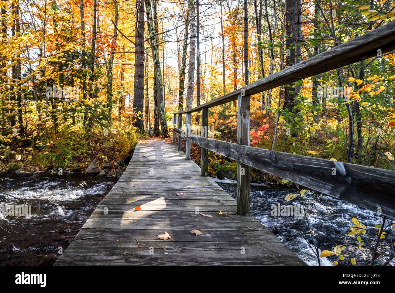 Landschaft mit einer schmalen Fußgängerbrücke über Bergfluss in Laub Ahornwald lädt Reisende und Touristen kommen nach Vermont Um Th zu genießen Stockfoto