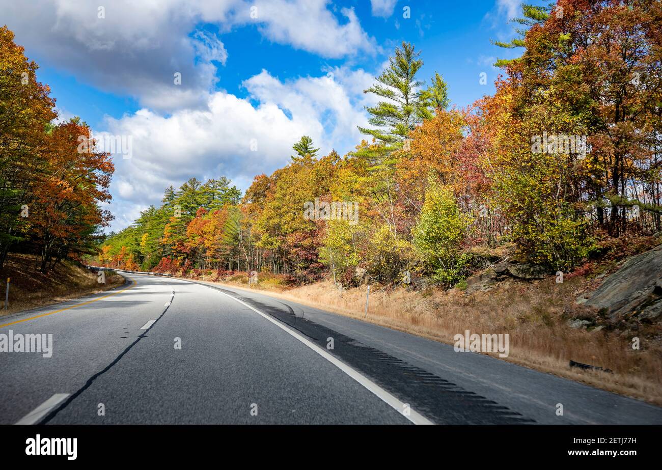 Faszinierende und bunte gewundene Massachusetts Highway Straße mit roten gesäumt Und gelbe Herbsthornbäume laden den Reisenden auf ein unvergessliches Reise A Stockfoto