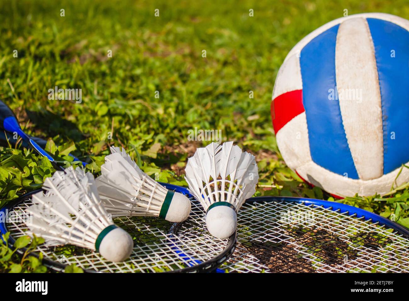 Drei Federbälle, Badminton-Schläger und ein Volleyball-Ball auf dem Gras  aus der Nähe. Selektiver Fokus. Leerzeichen für den Text. Das Konzept des  Outdoor Sports Stockfotografie - Alamy