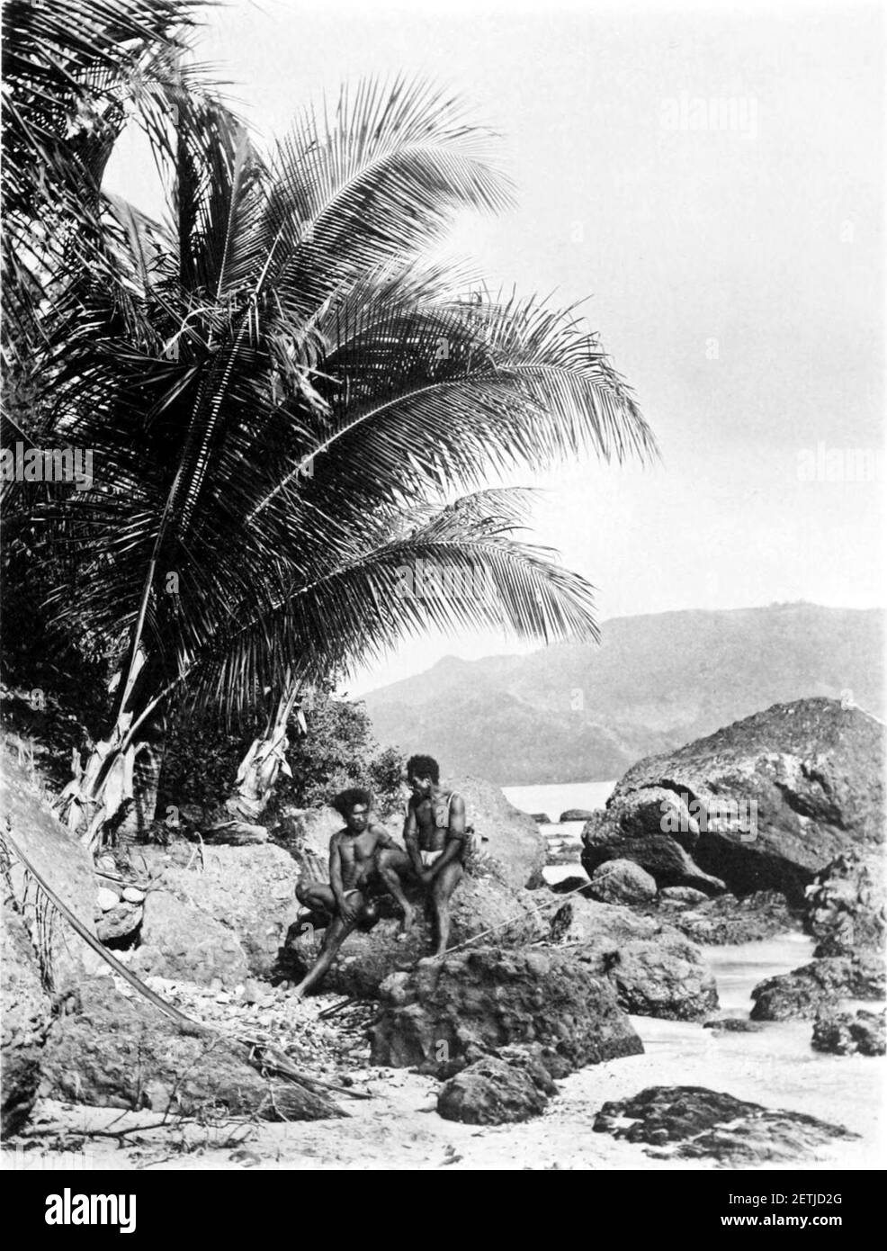 Malerisches Neuguinea Teller XL - Junge Kakaonut-Bäume auf Stacey Island. Stockfoto