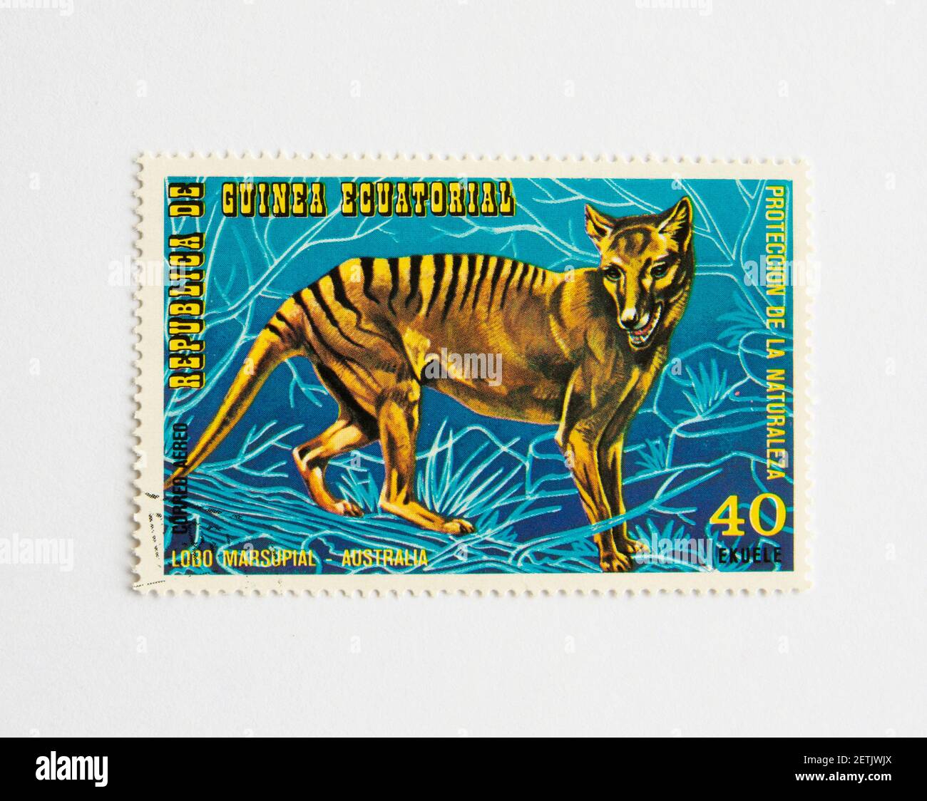 01.03.2021 Istanbul Türkei. Guinea Republik Briefmarke. Um 1974. Australische Tiere. lobo marsupial. tiger Stockfoto