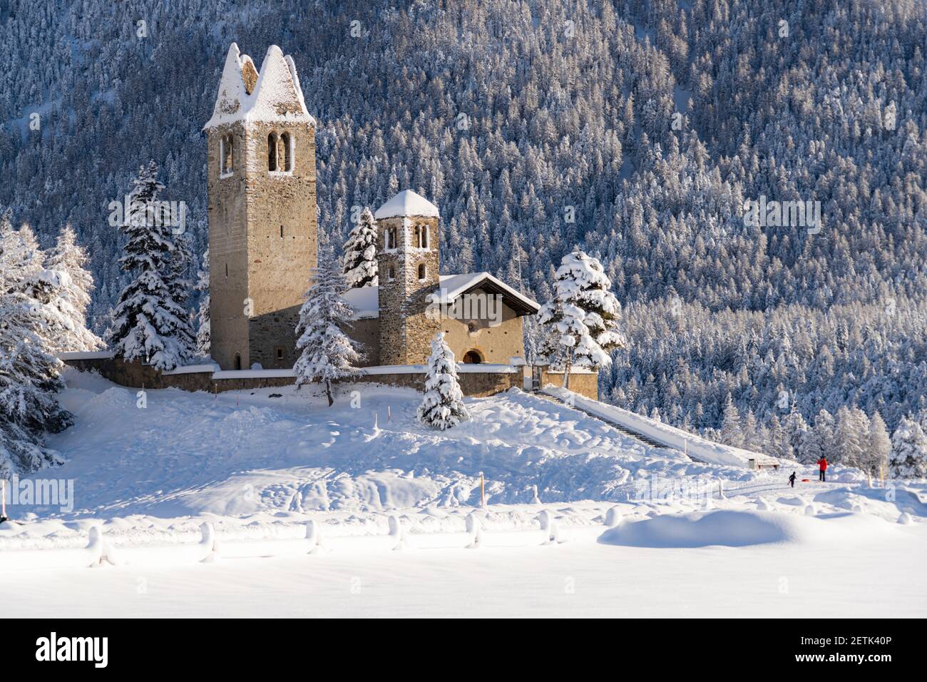 Gotischer Glockenturm und Kirche von San Gian umgeben von verschneiten Wäldern, Celerina, Kanton Graubünden, Engadin, Schweiz Stockfoto