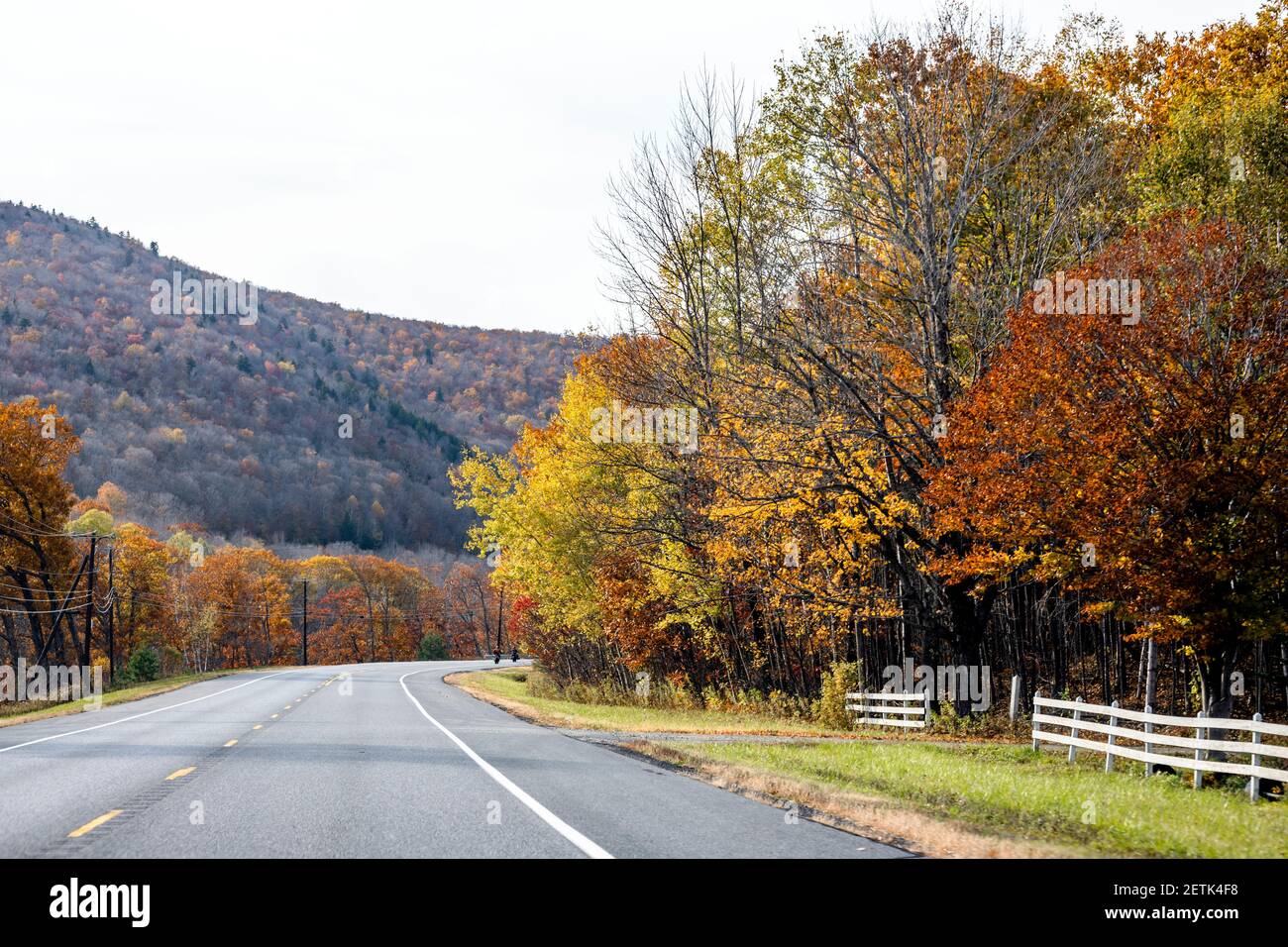 Faszinierende und bunte verwinkelte Vermont Highway Straße mit roten gesäumt Und gelbe Herbsthornbäume laden den Reisenden auf ein unvergessliches Reise entlang t Stockfoto
