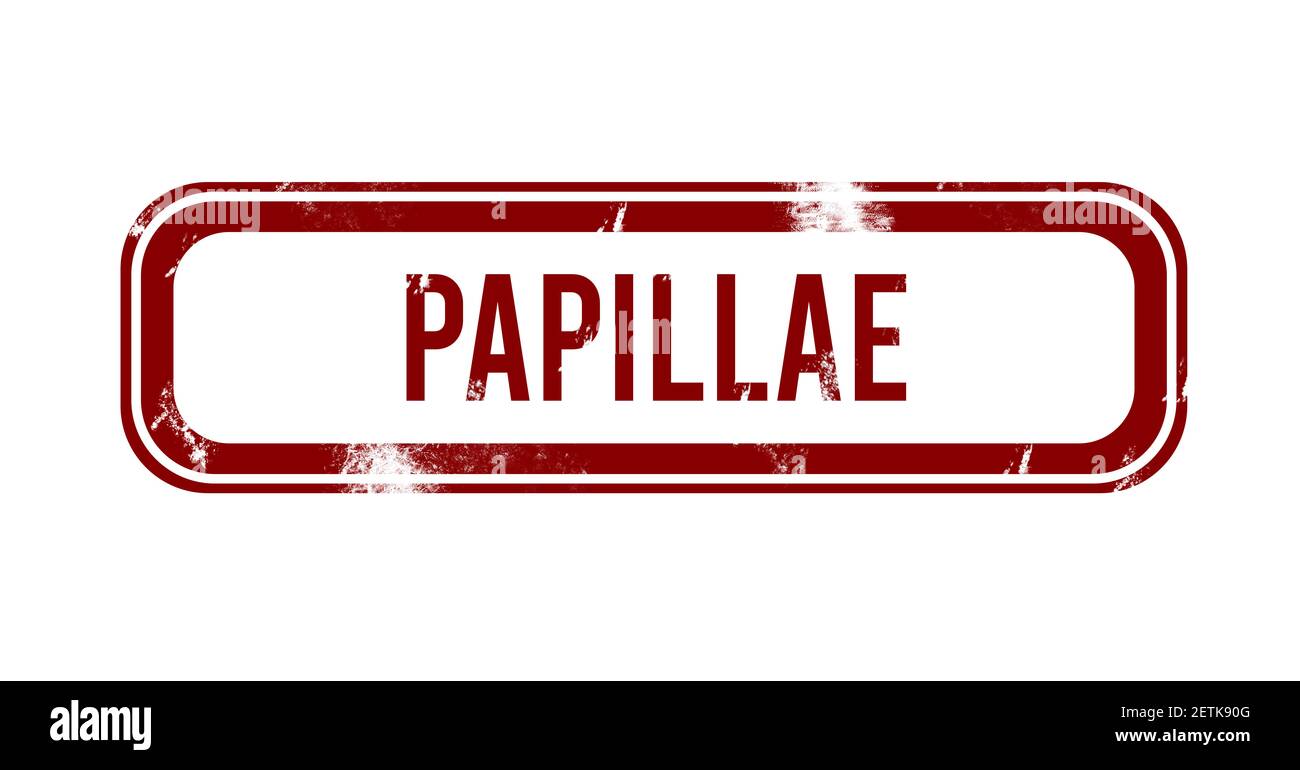Papillen Stockfotos Und Bilder Kaufen Alamy