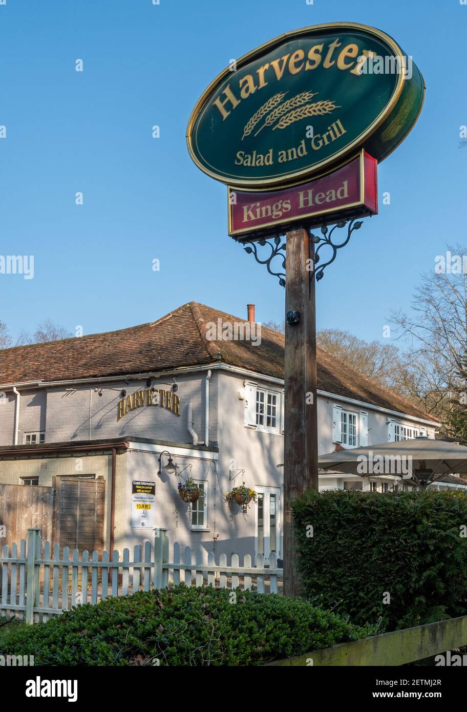 Harvester Restaurant im Frimley Green namens The King's Head Pub, Surrey, England, Großbritannien Stockfoto