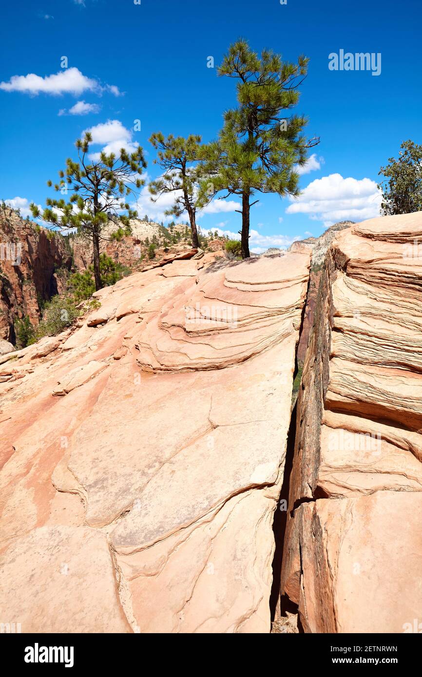 Felsformationen im Zion National Park, Utah, USA. Stockfoto