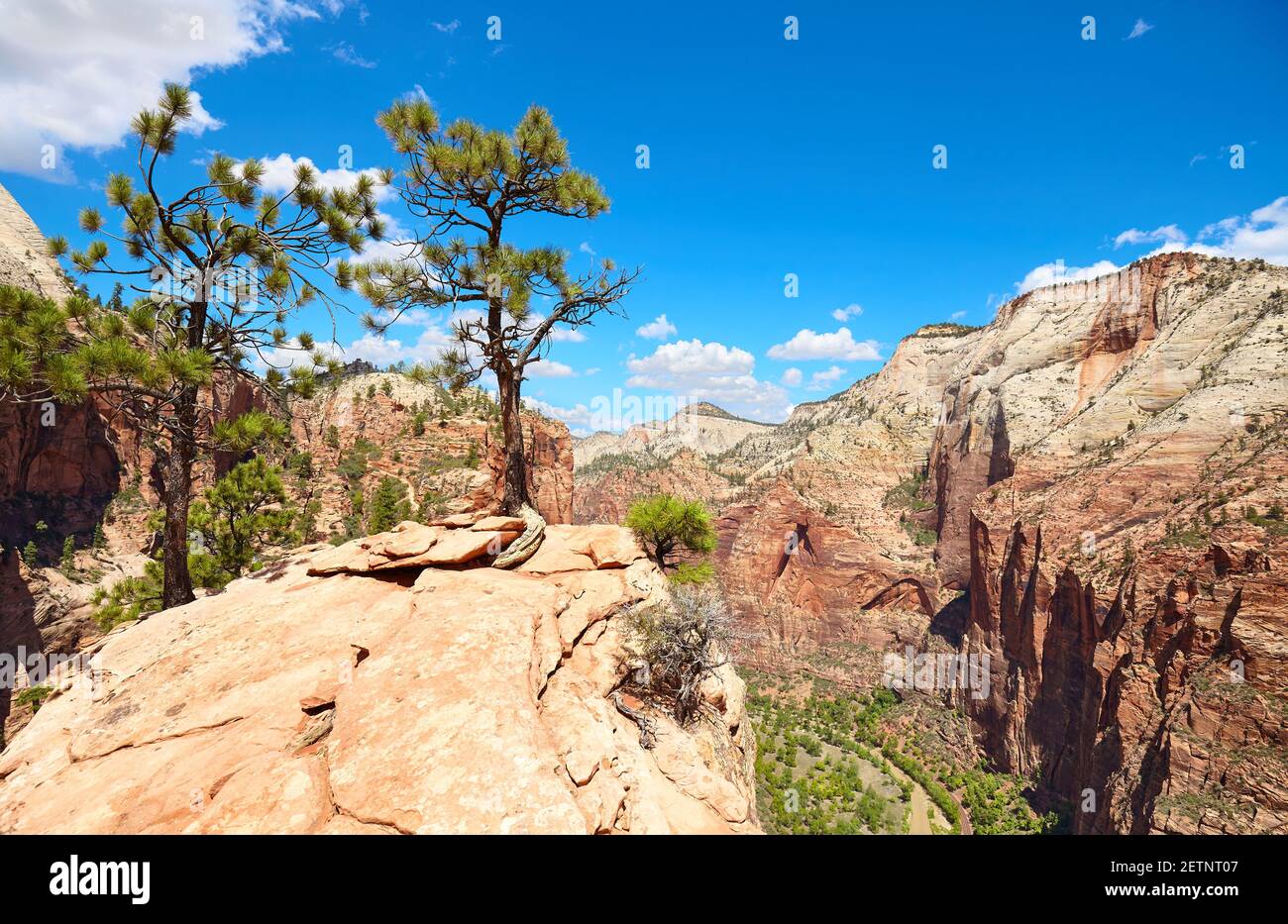 Zion National Park Scenery, Utah, USA. Stockfoto