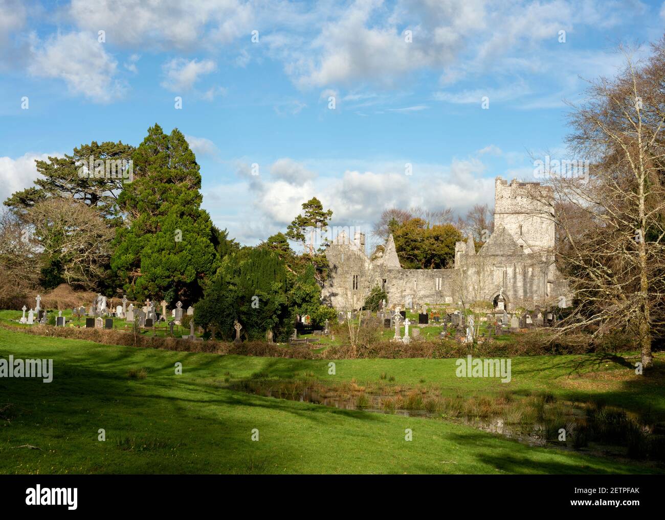 Muckross Abbey und Friedhof im Killarney National Park, County Kerry, Irland Stockfoto