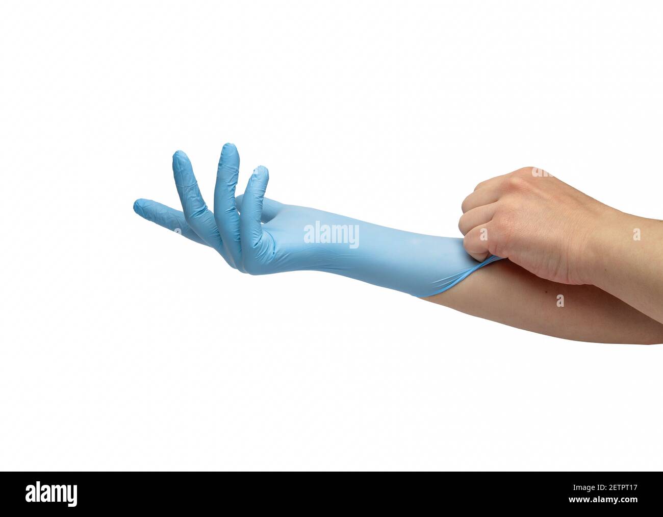 Die Hand zieht blaue medizinische Einweghandschuhe an, die auf weißem Hintergrund isoliert sind. Stockfoto